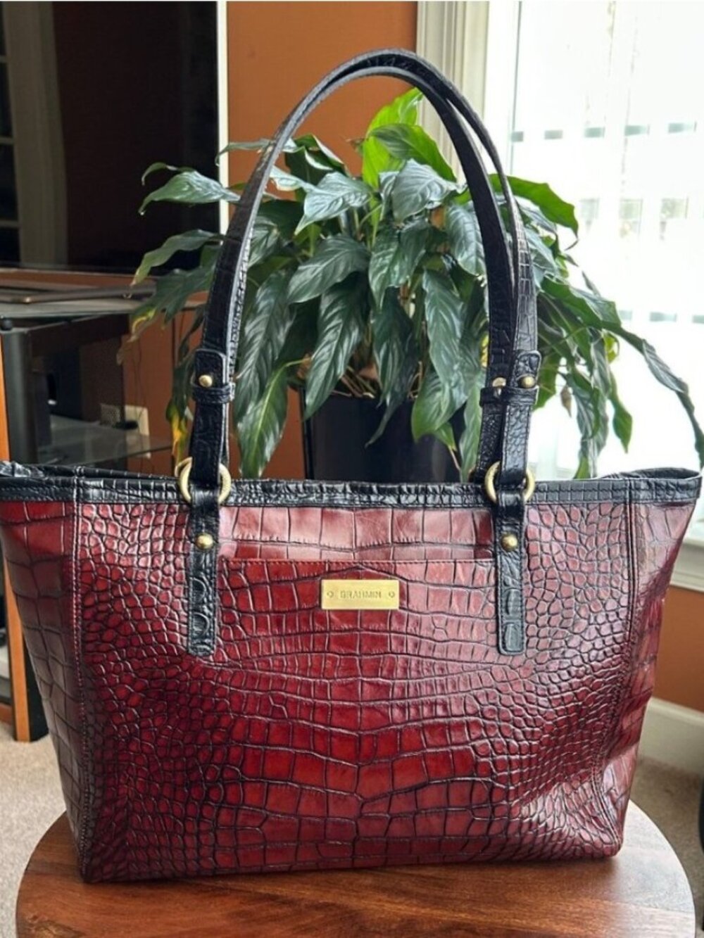 BRAHMIN Asher Croc Embossed Tote, Brown and Black 🛍️